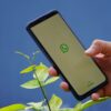 Jualan Online di WA