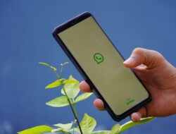 7 Cara Jualan Online di WA untuk Pemula