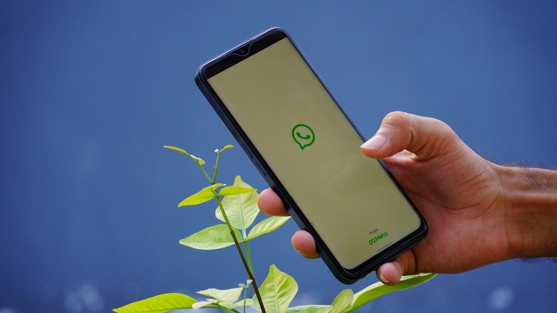 Jualan Online di WA